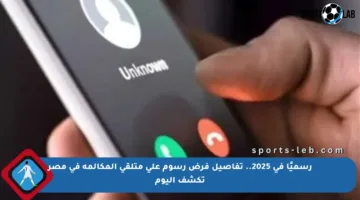 رسميًا في 2025.. تفاصيل فرض رسوم على متلقي المكالمة في مصر تكشف اليوم